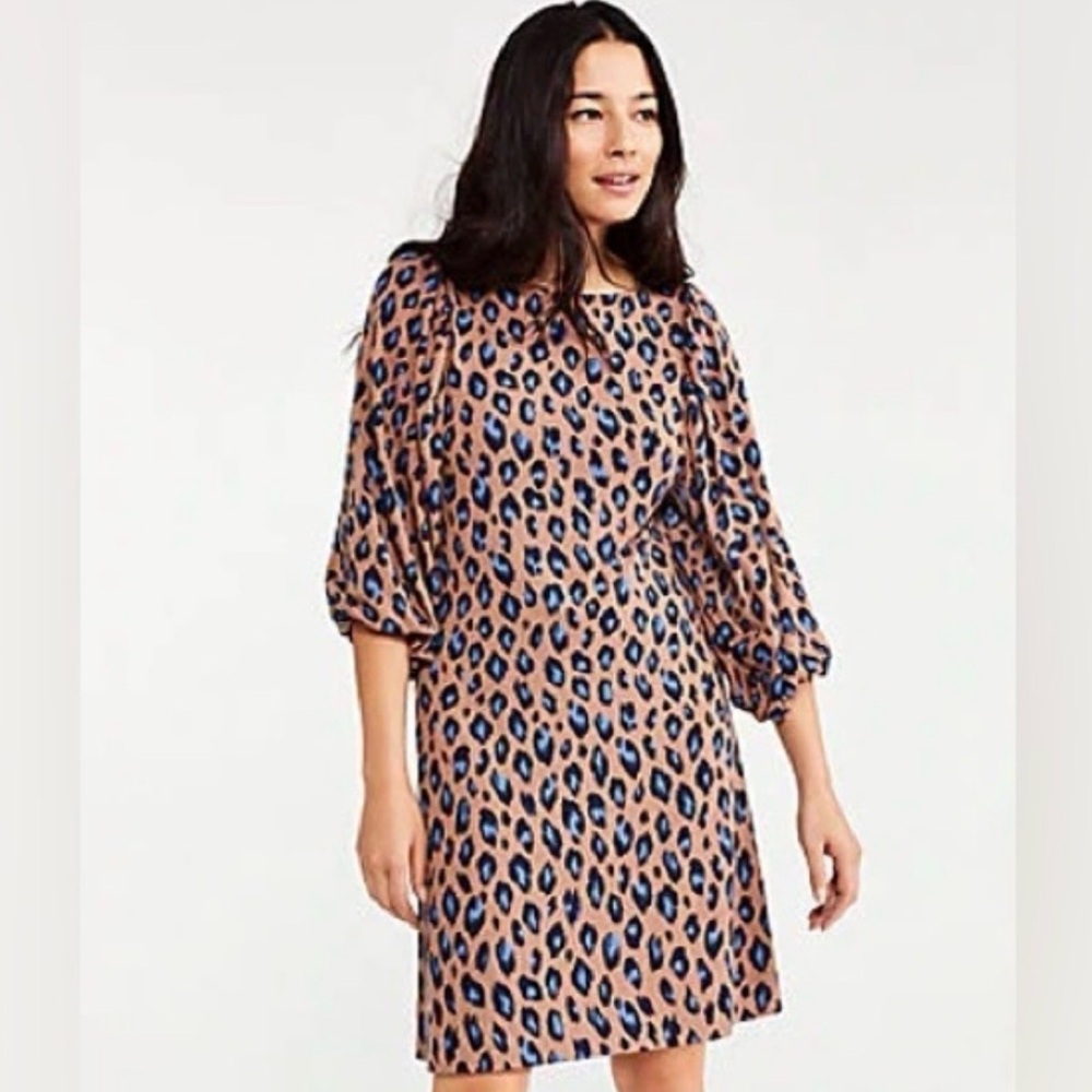 Ann Taylor NWT Animal Print  Dress Size‎ MP